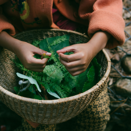 Agriculture and Food Sector