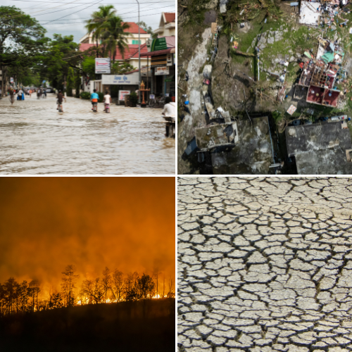 Capturing Climate Shocks